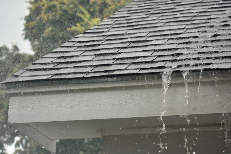 Gutter and Drainage Maintenance