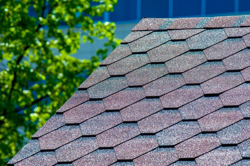 Close-up of Asphalt Shingles